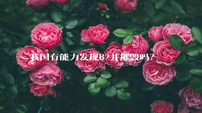我国有能力发现B2并摧毁吗？