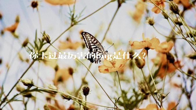 你卡过最厉害的bug是什么？